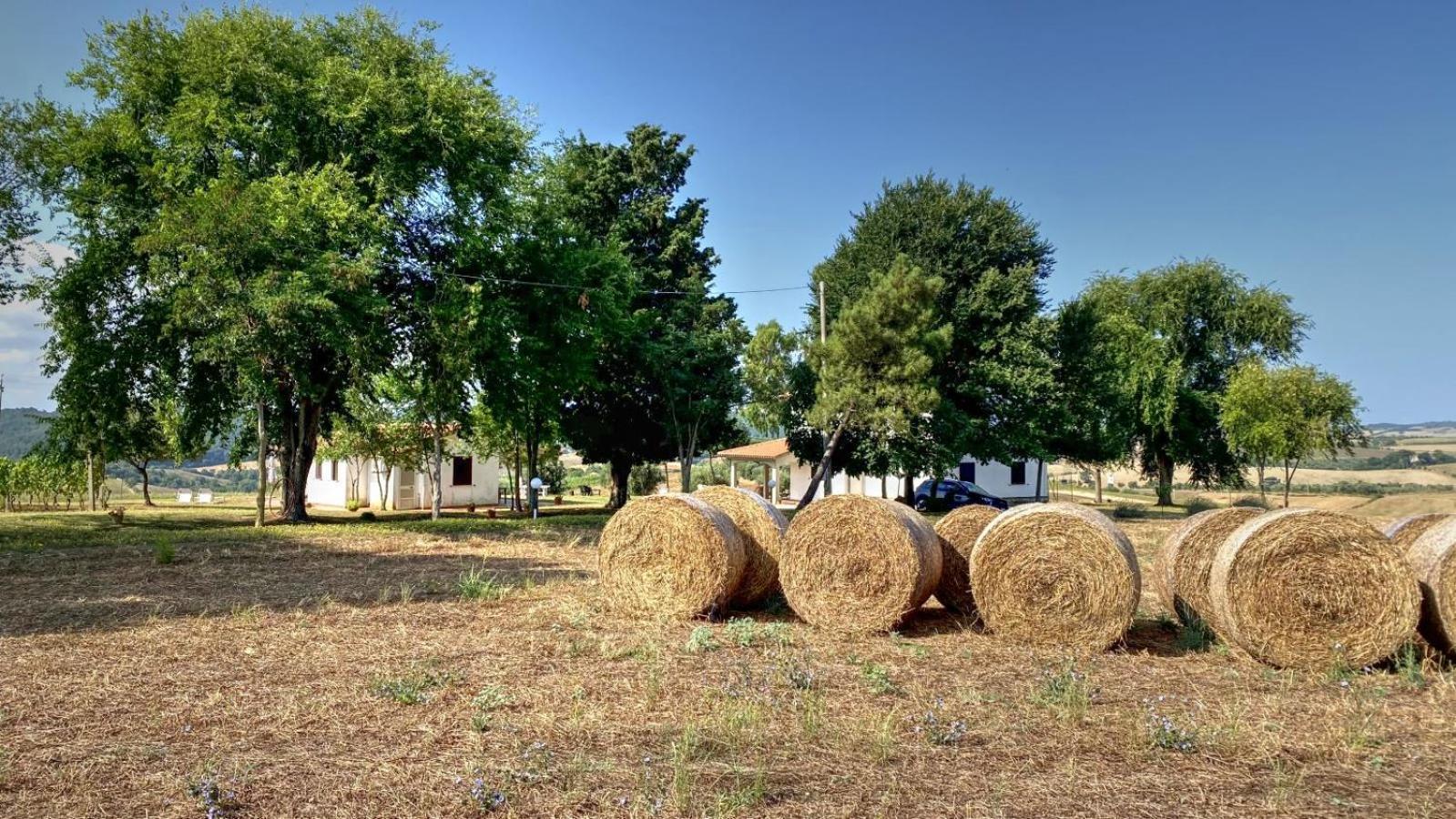 Вилла Agriturismo Uliveto Gretacci Монтемерано Экстерьер фото