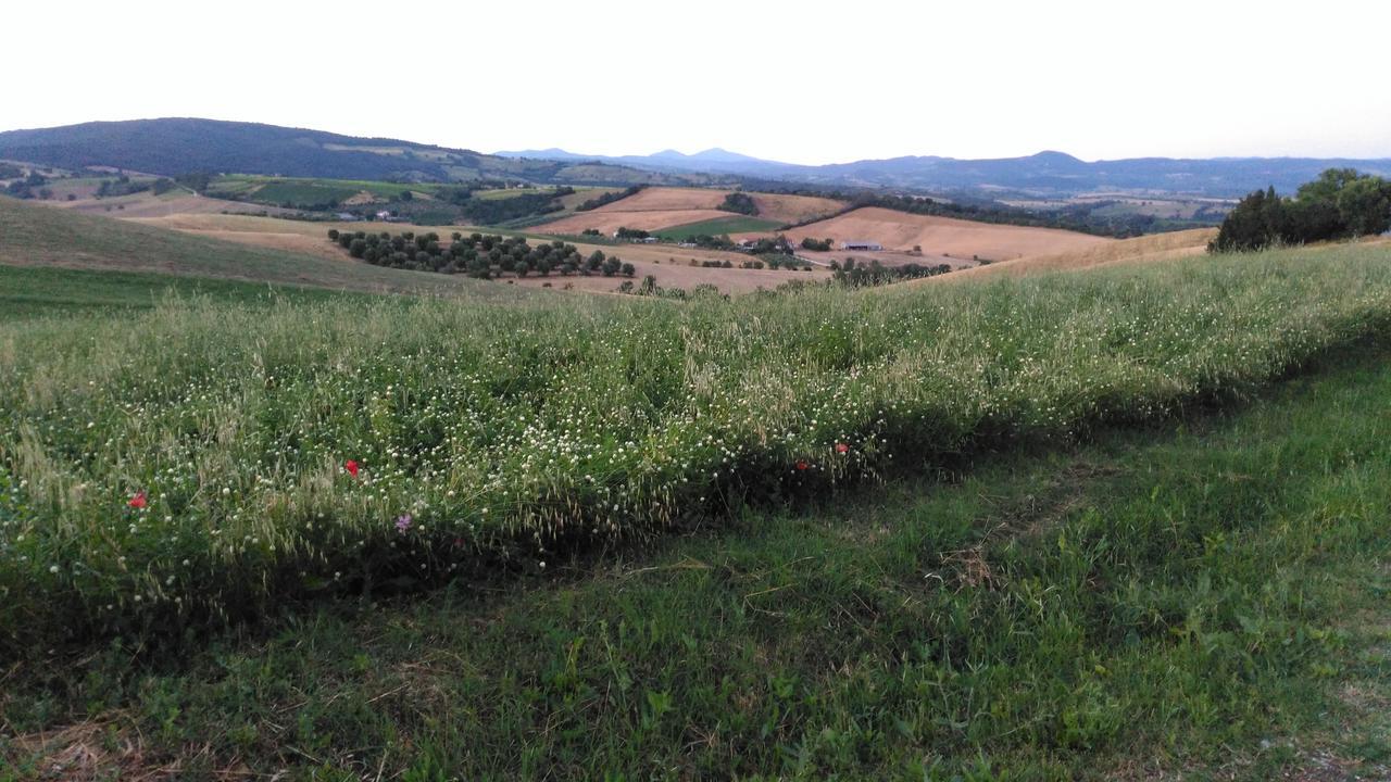 Вилла Agriturismo Uliveto Gretacci Монтемерано Экстерьер фото