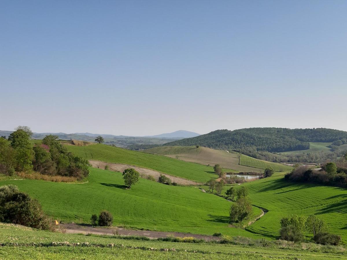 Agriturismo Uliveto Gretacci Монтемерано Экстерьер фото